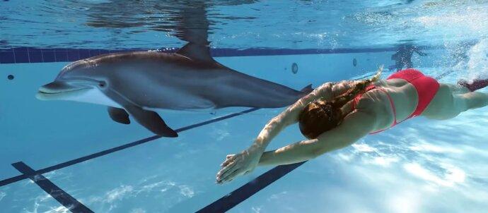 SuperSonic Radio - Delfin robot