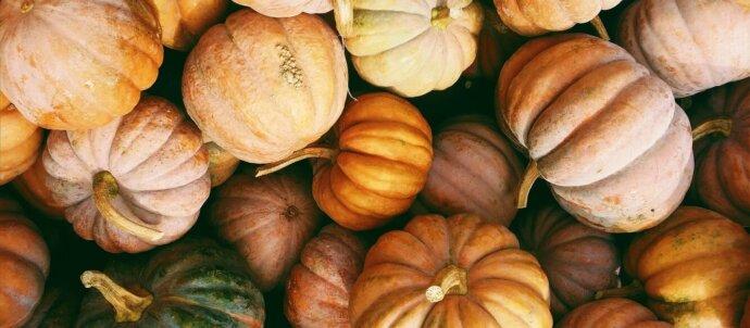 SuperSonic Radio - Producători de dovleci