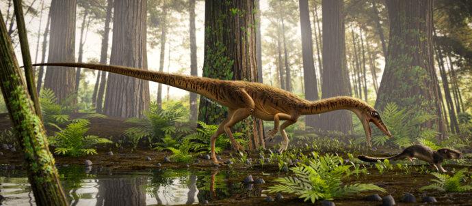 SuperSonic Radio - S-au descoperit rămășițele celei mai vechi rude a lui T-Rex! Vezi unde