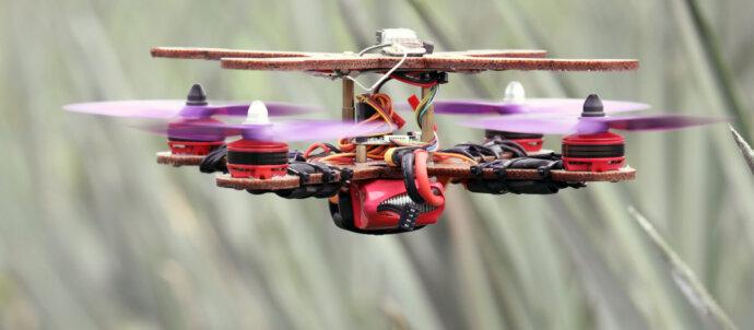 SuperSonic Radio - Invenție malaeziană: drone din frunze de ananas