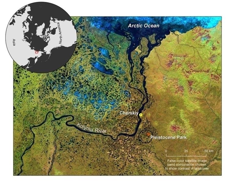 pleistocene park 0