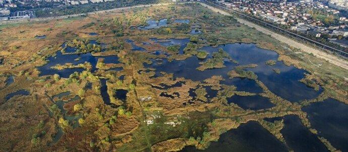 SuperSonic Radio - Starea biodiversității în orașele din România