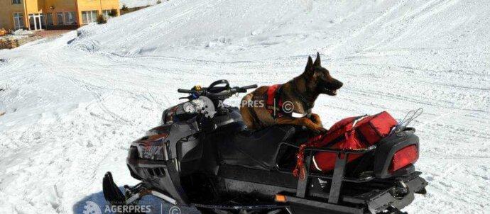 SuperSonic Radio - Argeș: A început Stagiul Naţional de Formare al Unităţilor Canine de Intervenţie la Avalanşă