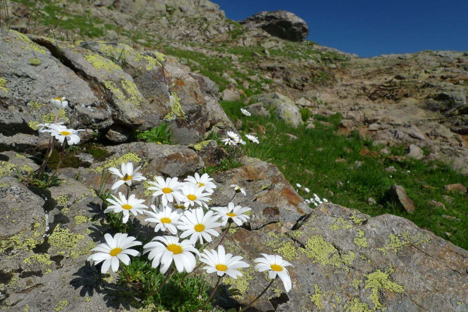 Contamines Montjoie