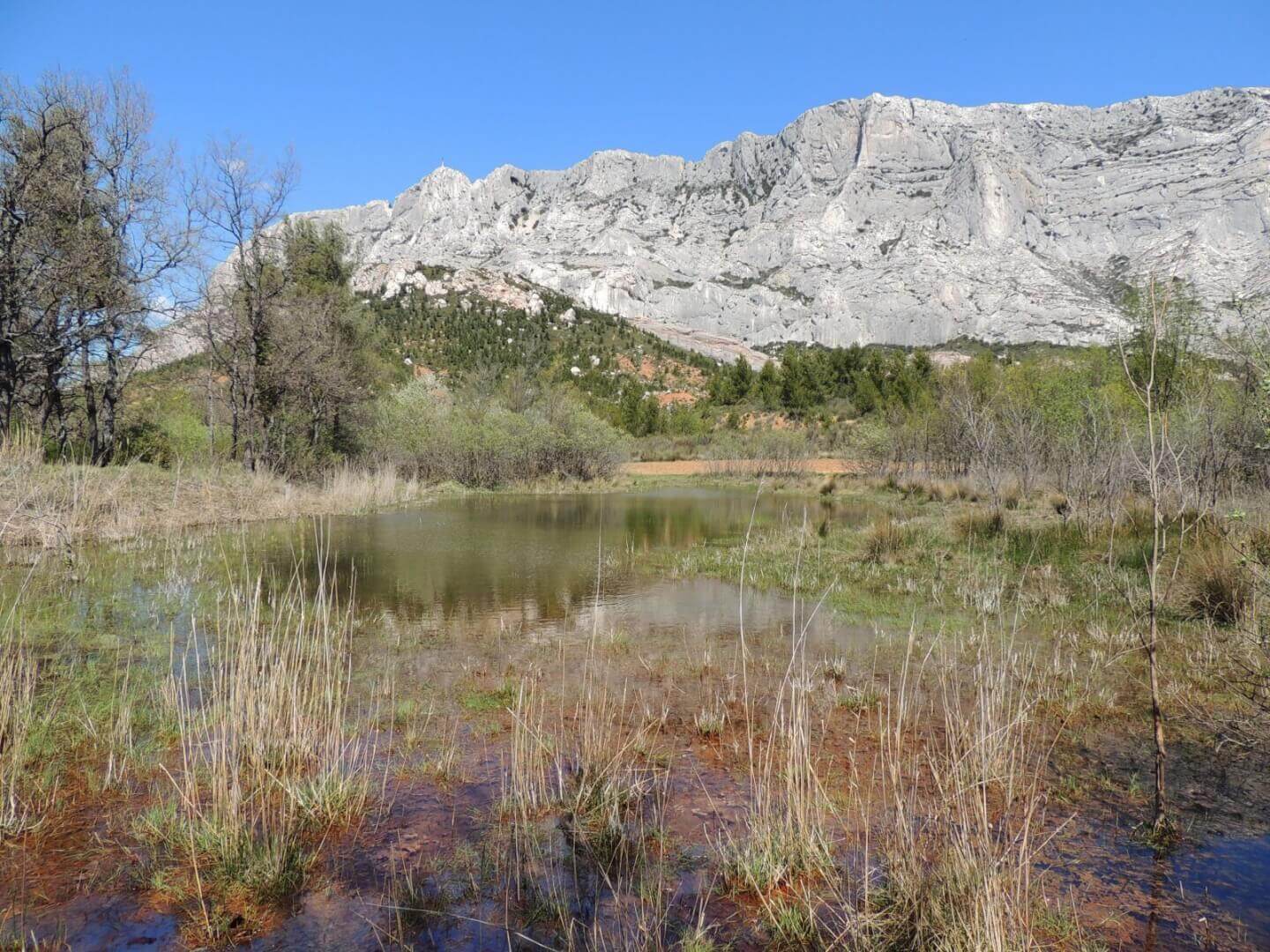 Sainte Victoire