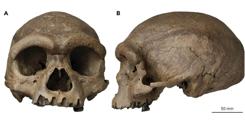 China: Descoperirea unui craniu preistoric ar putea revoluționa teoria evoluției speciei umane 2 60d6847585f54016ab42b12b