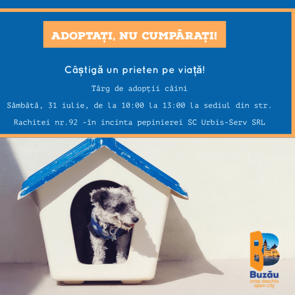 Adoptați, nu cumpărați! Câștigă un prieten pe viață! 1 1627365896300blob