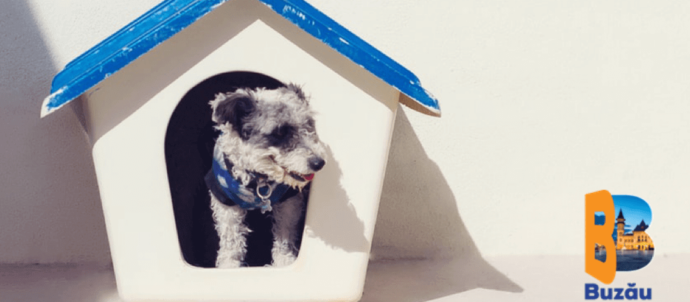 1627365896300blob e1627367837584