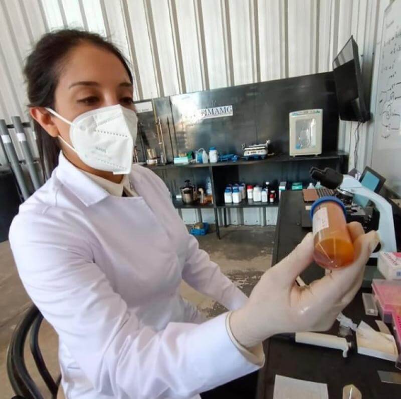 O cercetătoare a descoperit o metodă inedită de a scăpa de metalele care nu pot fi reciclate 1