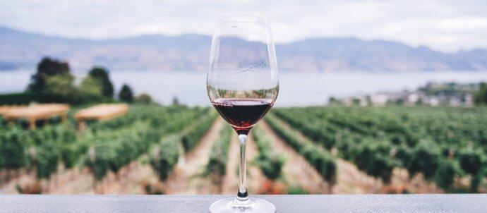 SuperSonic Radio - A crescut producția de vin din România