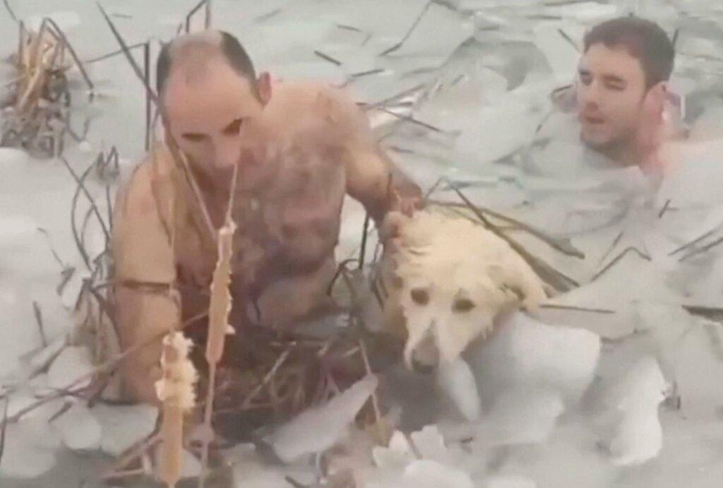 Spania: Doi ofiţeri de poliţie din Spania au intrat într-un rezervor cu apă îngheţată pentru a salva un câine 1 1 1