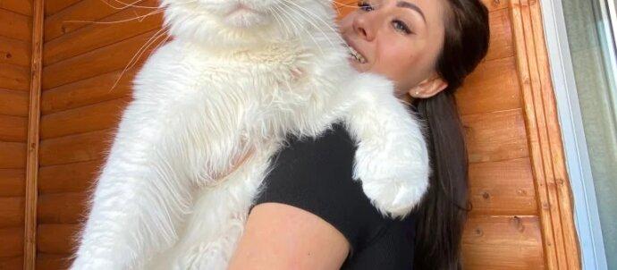 SuperSonic Radio - Cât cântărește o pisică uriașă ce se află la un pas de a depăși recordul mondial?