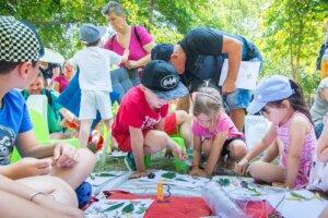 PRIMĂVARA ÎNCEPE LA ȘCOALA DIN PARC BUZĂU 3 WhatsApp Image 2024 02 27 at 13.07.33 1